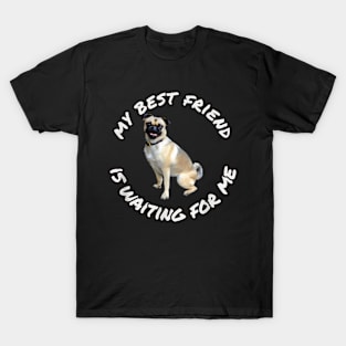 Puggle Puppy Dog My Best Friend Is Waiting T-Shirt